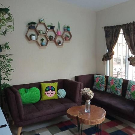 Appartement La Casa Del Pinito à Sonsonate Extérieur photo